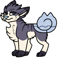Thumbnail of MYO-0429: Stella